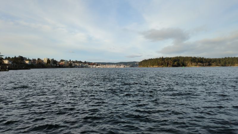 The ocean from Downtown