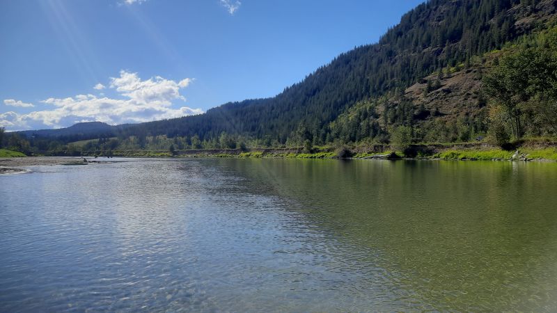 A river in Salmon Arm